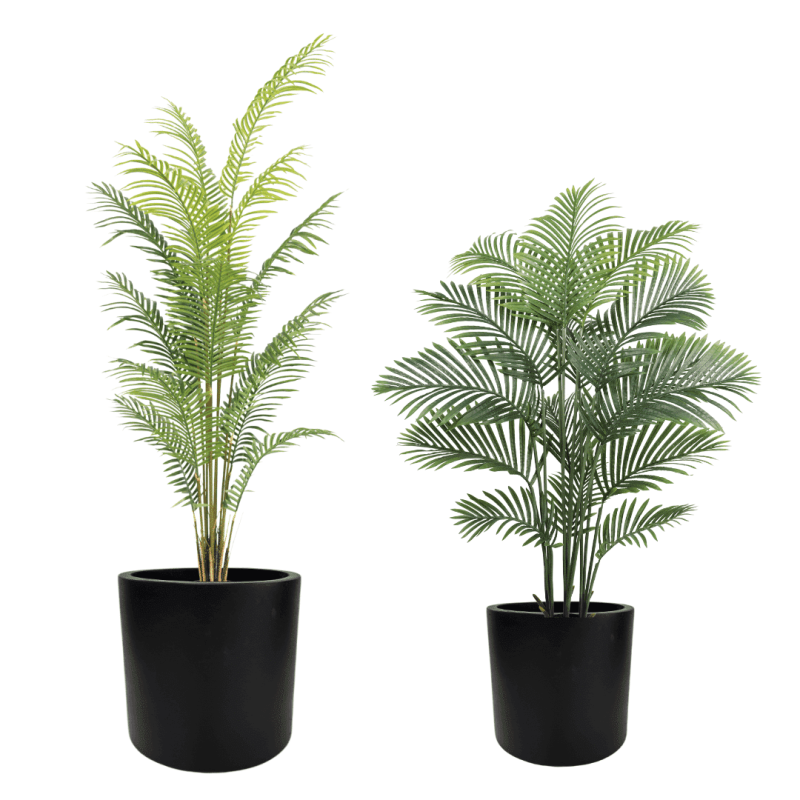 זוג דקלים אריקה מלאכותי 1.65 והוואי 2.0 מטר כולל זוג כדי כנרת