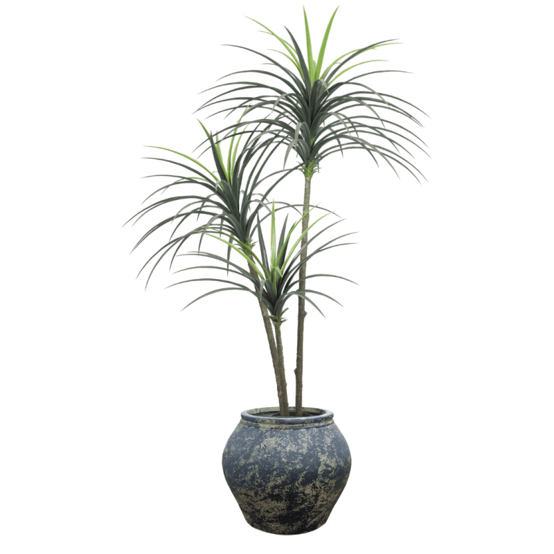 Product 24761