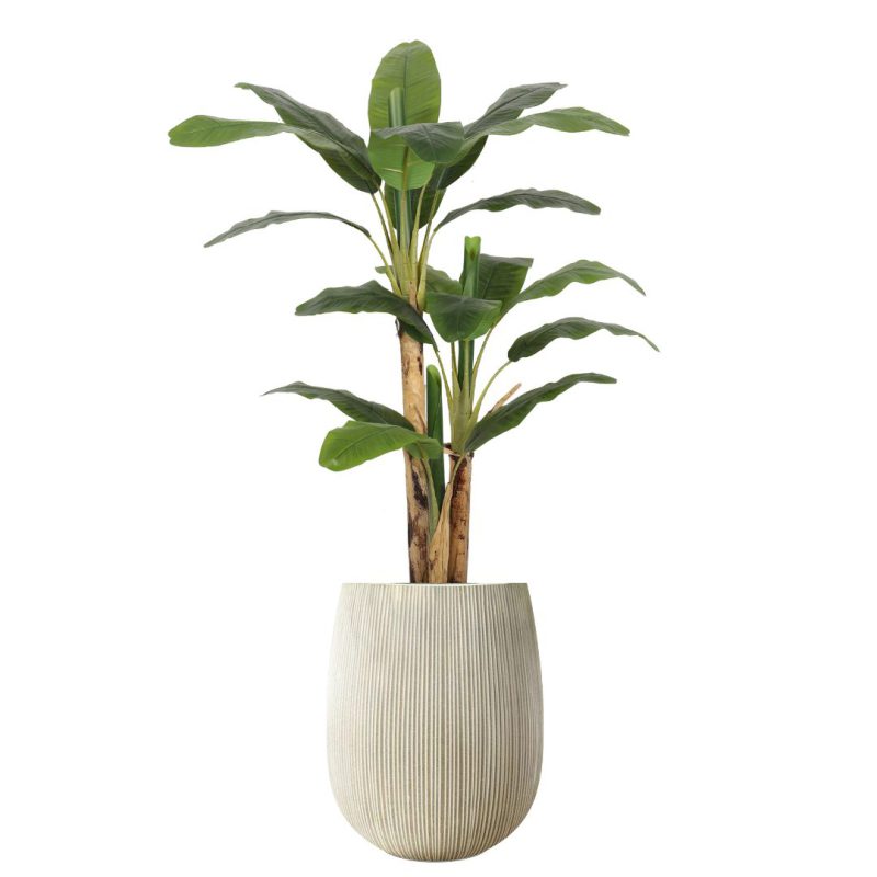 עץ בננה מלאכותי 1.5 מטר כולל כד סנטוריני בצבעים